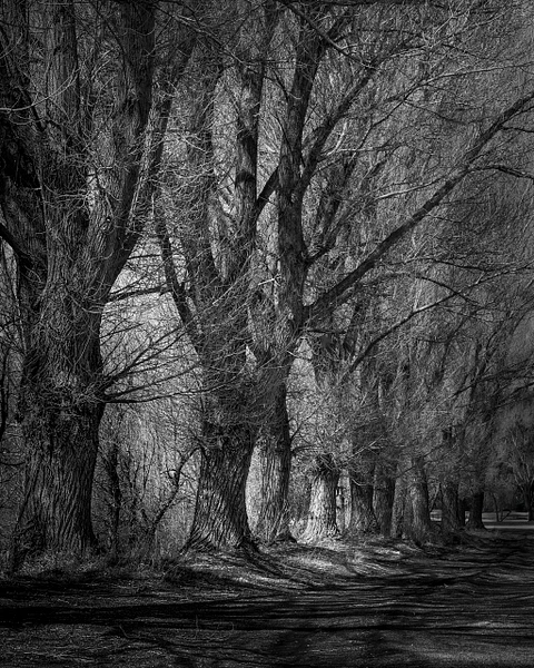 Barbara Altevers Photography